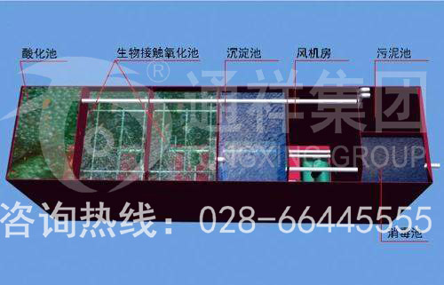 timg (11) 拷貝